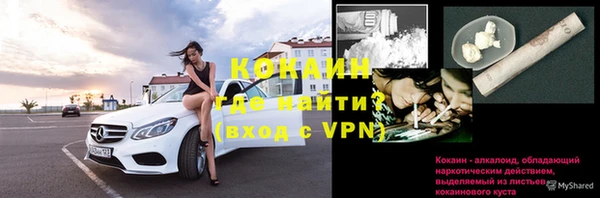 спиды Гусев