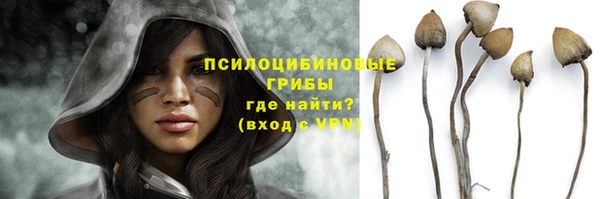 спиды Гусев