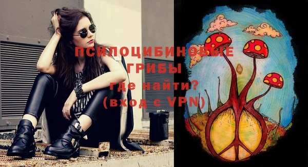 mdma Гусь-Хрустальный