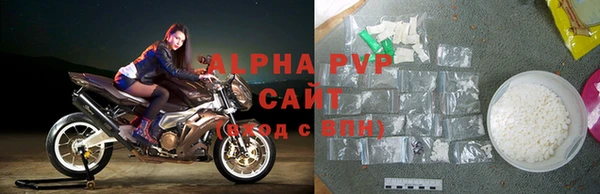 спиды Гусев